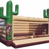 Desert Bouncy castle