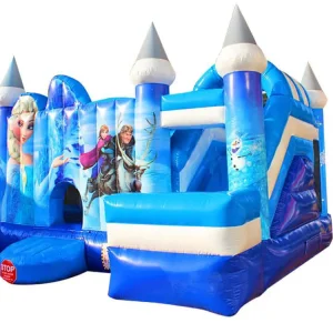 Frozen Castle Combo
