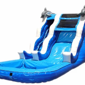 Inflatable Dolphin Water Slide