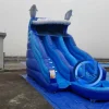 Ocean Wave Dual Lane Water Slide With Dolphins