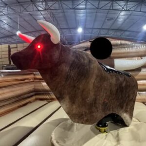 Mechanical Bull ( Rodeo Bull ) with Mechanical Surfboard for Sale